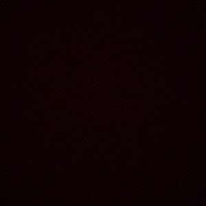 Meet your Posher, Ernest